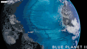blue planet ocean GIF by BBC Earth