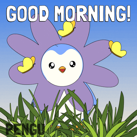Good Morning GIF by Pudgy Penguins