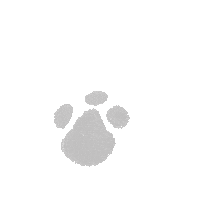 audreykomg dog puppy foot paw Sticker