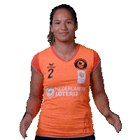 Korfbal sports sport oranje ek Sticker
