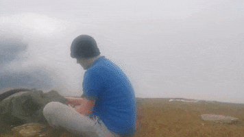 albacampers  GIF