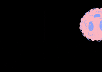 bbchris77 nini 毛毛球 GIF