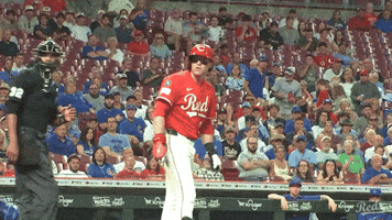 Baseball Omg GIF by Cincinnati Reds