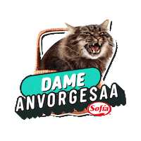 Sofia Anvorgesa Sticker by sofiabolivia