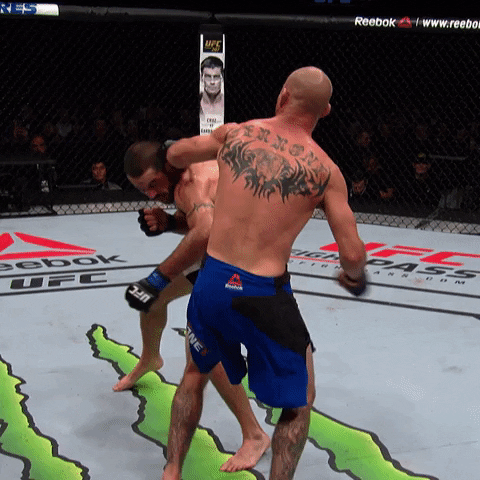 GIF by UFC