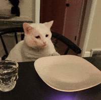 Hungry Give Me Some GIF