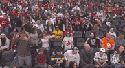 Nfl Pro Bowl Football GIF by NFL