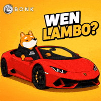 Crypto Gm GIF by BONK