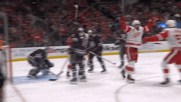 Happy Red Wings GIF by Bally Sports Detroit