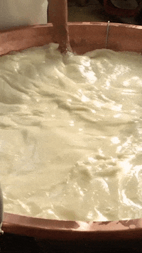 Parma Parmesan GIF by Parmigiano Reggiano