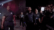 Mixed Martial Arts Sport GIF by UFC