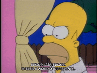 Season 1 GIF by The Simpsons