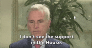 Kevin Mccarthy Cr GIF by GIPHY News