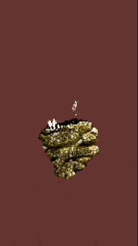 oak_sky giphyupload nature life time GIF