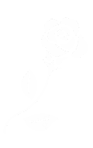 Rose バラ Sticker