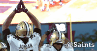 saints football nfl GIF by New Orleans Saints