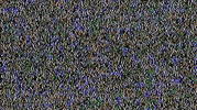 Found Footage Vhs GIF by Raven Banner Entertainment