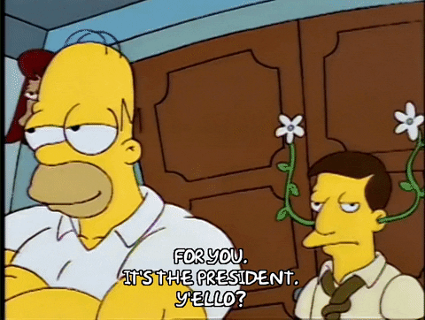 homer simpson episode 10 GIF