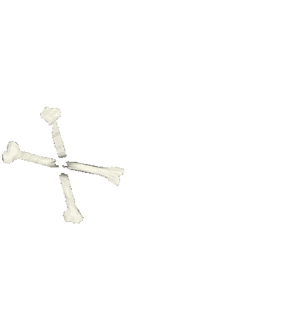 x bones Sticker by Peter Bjorn and John