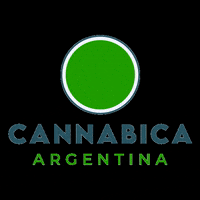 Cannabis GIF by brainmkt