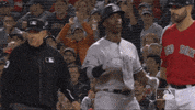 New York Yankees Sport GIF by MLB