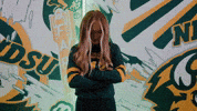 Volleyball Bison GIF by NDSU Athletics