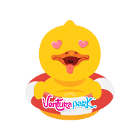 Riviera Maya Fun Sticker by VenturaPark Cancun