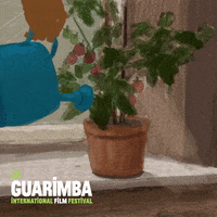 Taking Care Love GIF by La Guarimba Film Festival