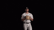 University Of Louisville Baseball GIF by Louisville Cardinals