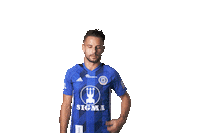 Soccer Goal Sticker by FORTUNA:LIGA