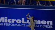 Fernando Tatis Jr Sport GIF by MLB