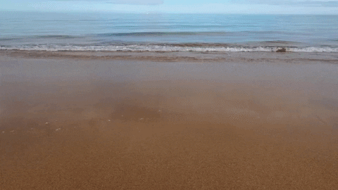 khigg514 giphyupload GIF