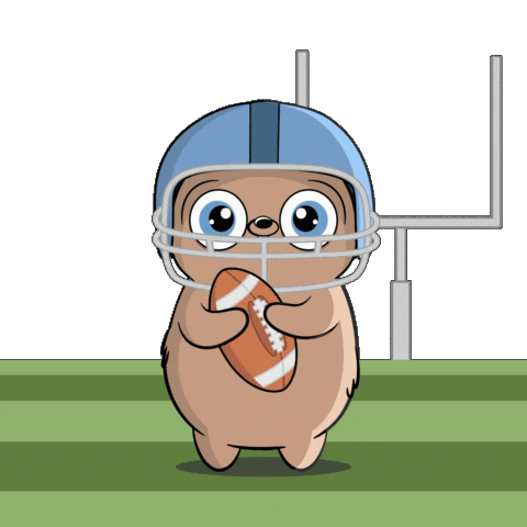 Super Bowl Win Sticker by Fugz Official