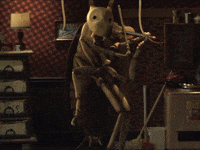 GIF by Film School Shorts