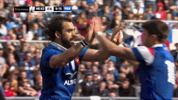high five france GIF by Guinness Six Nations