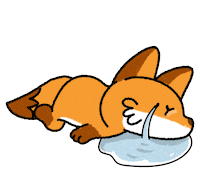 Fox No Sticker