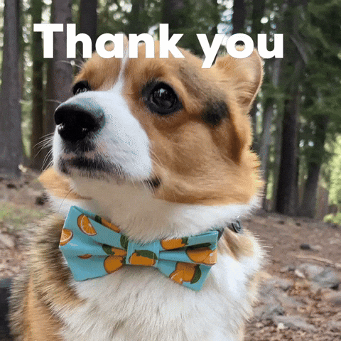 Dog Thank You GIF