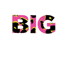 Radiobig Sticker by Big Radio