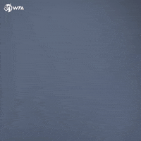 Walk In Hello GIF by WTA