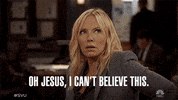 Episode 7 Disbelief GIF by SVU