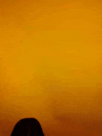 GIF by Cultivated Wit