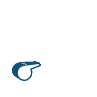Gaabelong Sticker by The GAA - OfficialGAA