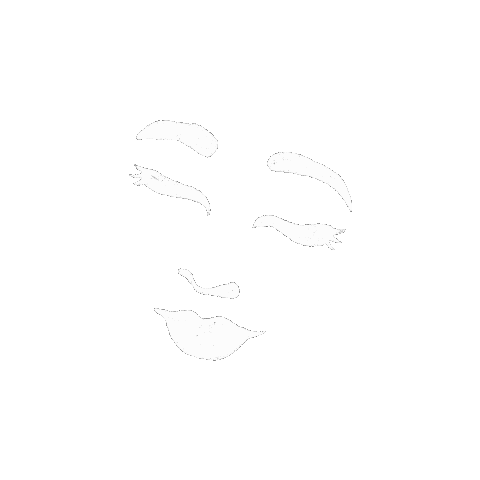 GraceGetsCreative giphyupload women face abstract Sticker