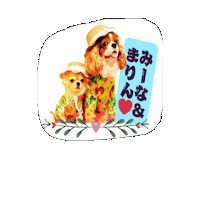 Cavalierkingcharlesspaniel Sticker