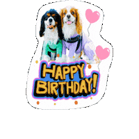 Cavalierkingcharlesspaniel Sticker