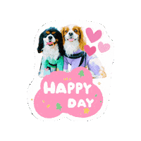 Cavalierkingcharlesspaniel Sticker