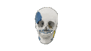 Skull Industry Sticker by Materialise Brasil