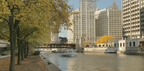 chicago illinois GIF