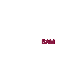 bameus bam magisterio irakaskuntza unibertsitatea Sticker