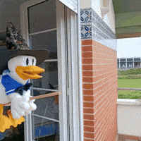 SanPitoPato donald duck pato pato donald san pito pato GIF